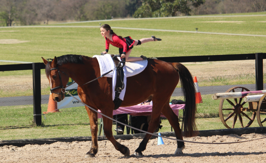 Private Vaulting Sessions