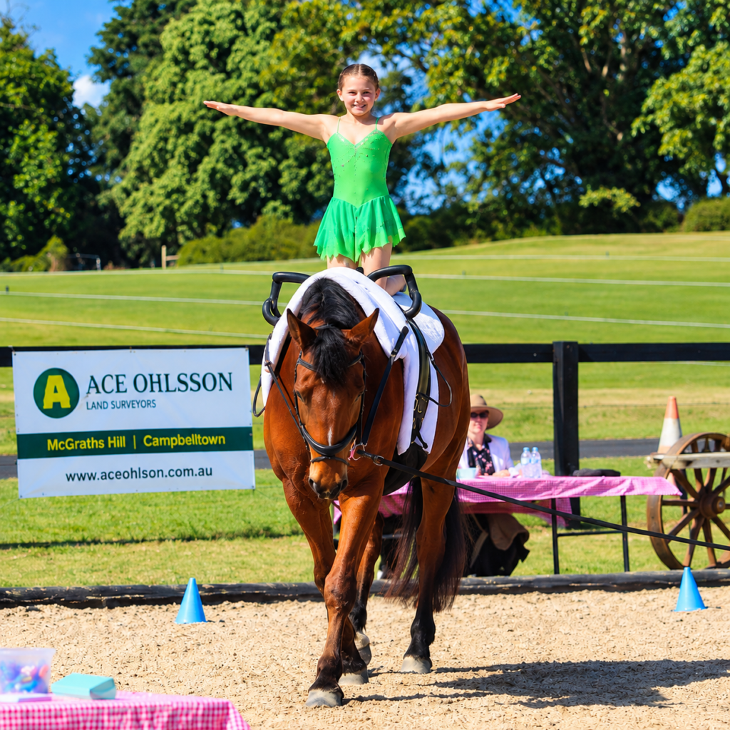 School Holiday Horse Adventure – Beyond the Saddle